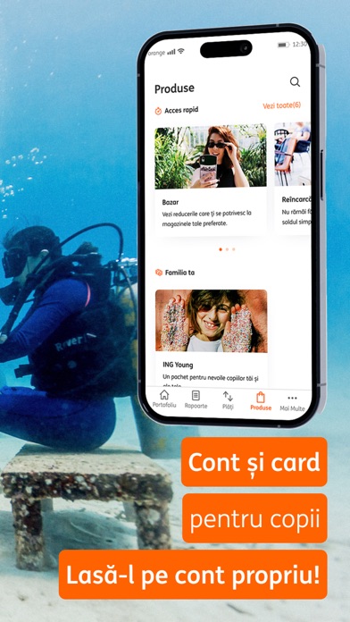 ING HomeBank Screenshot