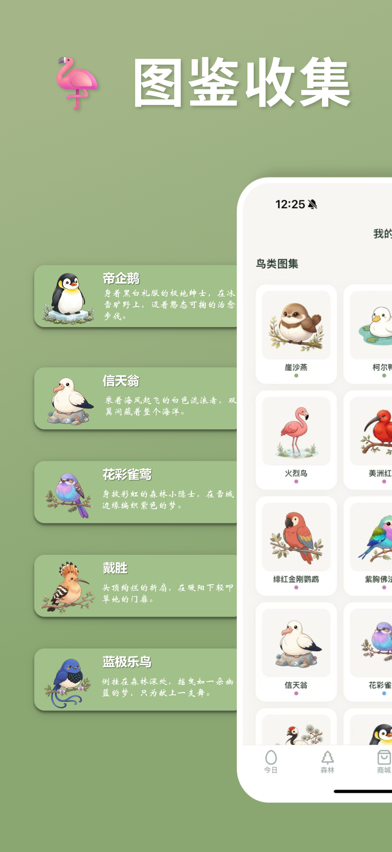 Jiujiu Forest screenshot 7