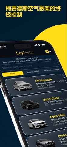 LayMatic screenshot
