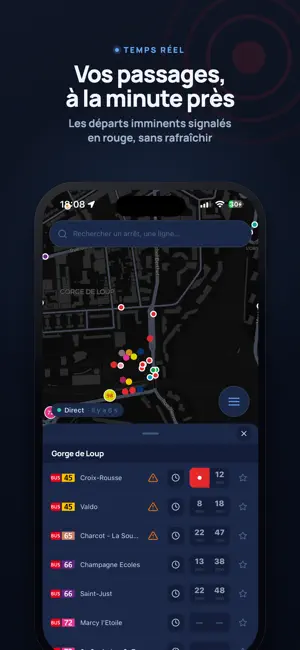 Lyne - Transports Lyonnais screenshot 2