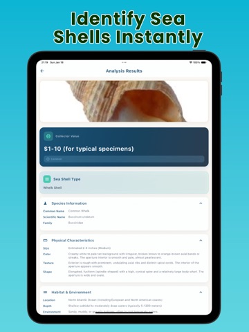 Sea Shell Identifier: Sea Lens iPad screenshot