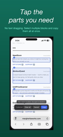 App screenshot