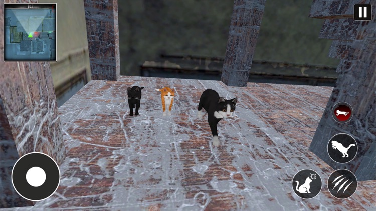 Kitty Lost Big City Simulator