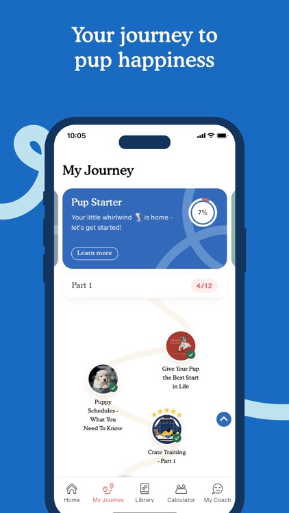 Zigzag - Dog & Puppy Training