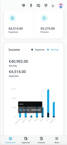 Icon Accounting Screenshot 2 of 7