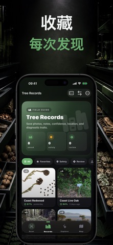 Leafr AI: 树木识别 screenshot
