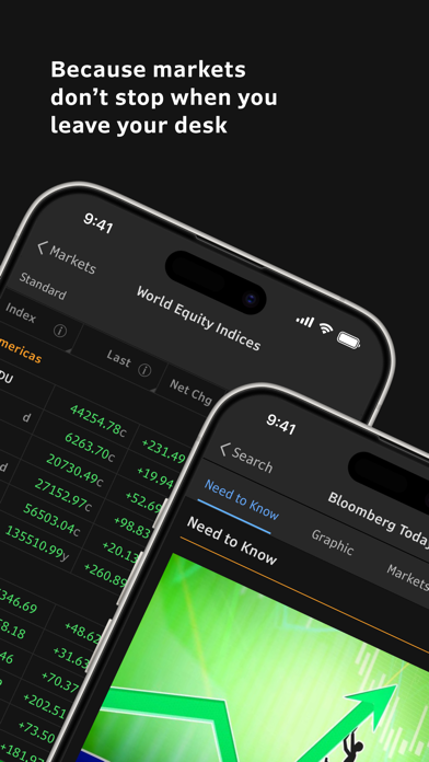 Bloomberg Professional Screenshot