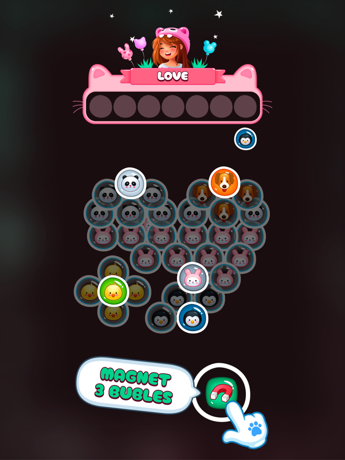 Pet Match Zoo Puzzle