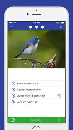 iKnow Birds LITE screenshot 4