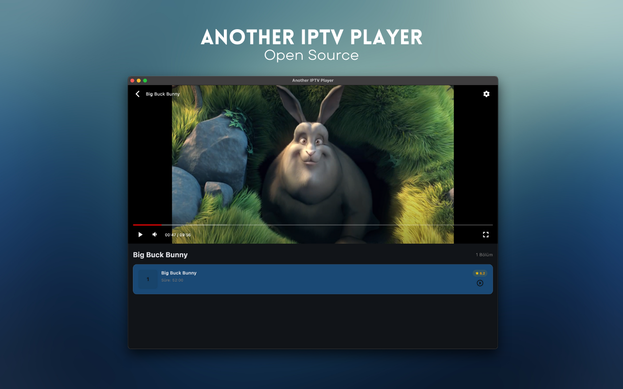 Another IPTV: M3U & Xtream screenshot 8