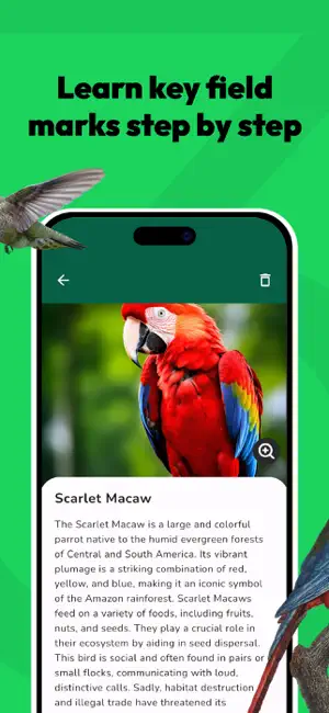 Bird Identifier - Ornithology screenshot 3