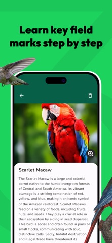 Bird Identifier - Ornithology iPhone screenshot