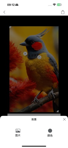 Case Studio screenshot