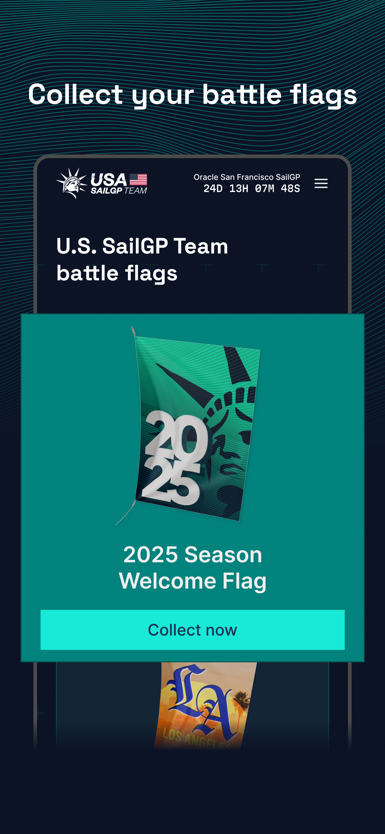 U.S. SailGP Team