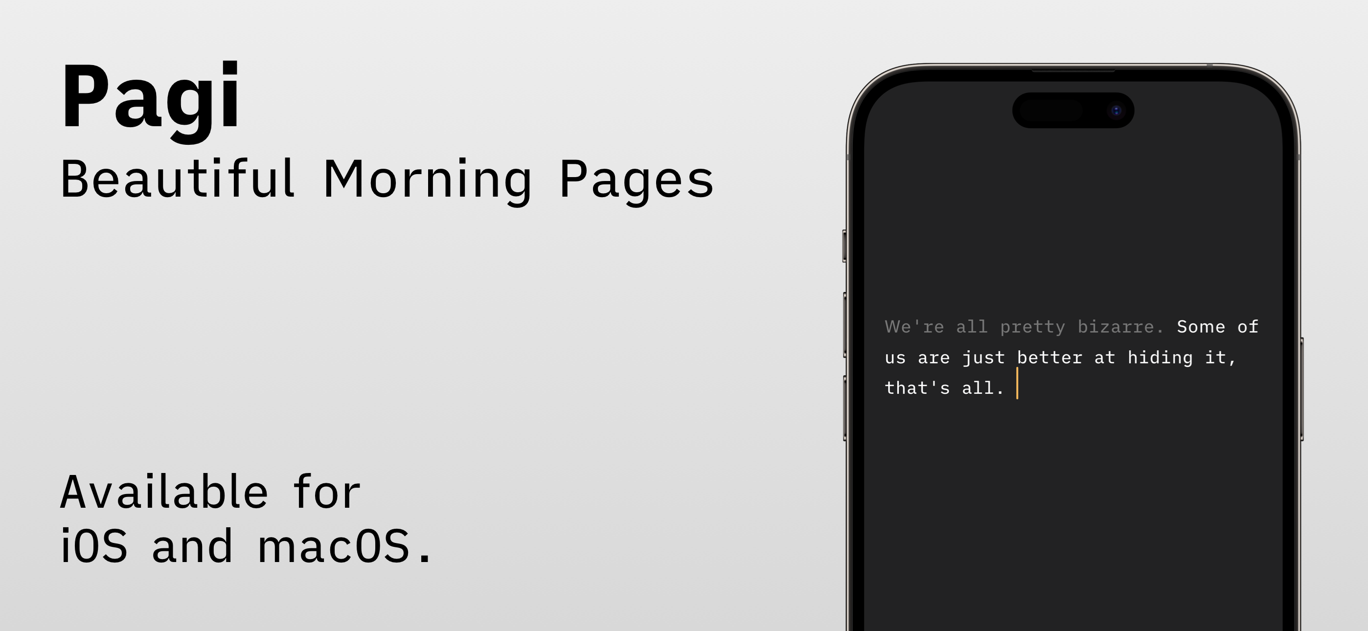 Pagi - Morning Pages & Diary