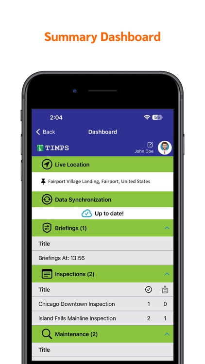 TIMPS (Track Inspection)