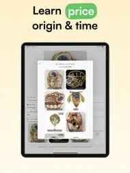 Curio - Antique Identifier ipad bilder 2