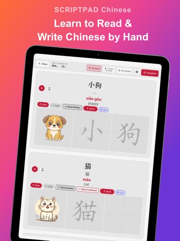 ScriptPad: Chinese Writing iPad screenshot