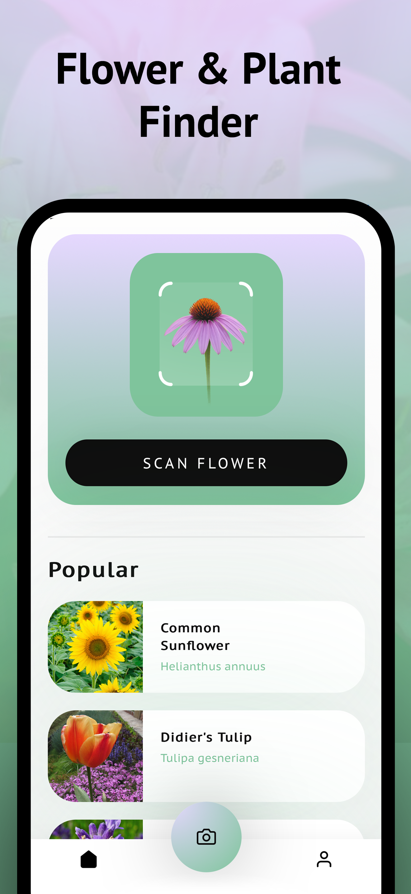Wildflower identification screenshot 3