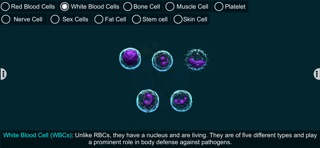 Human Body Cells - EduTech Era screenshot