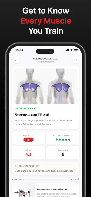 Musclepedia: Anatomy Fitness screenshot 4