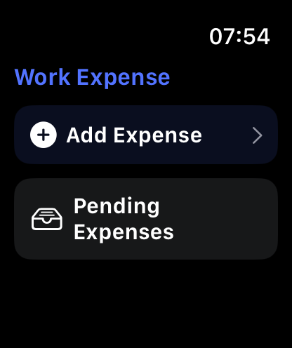 Work Expense