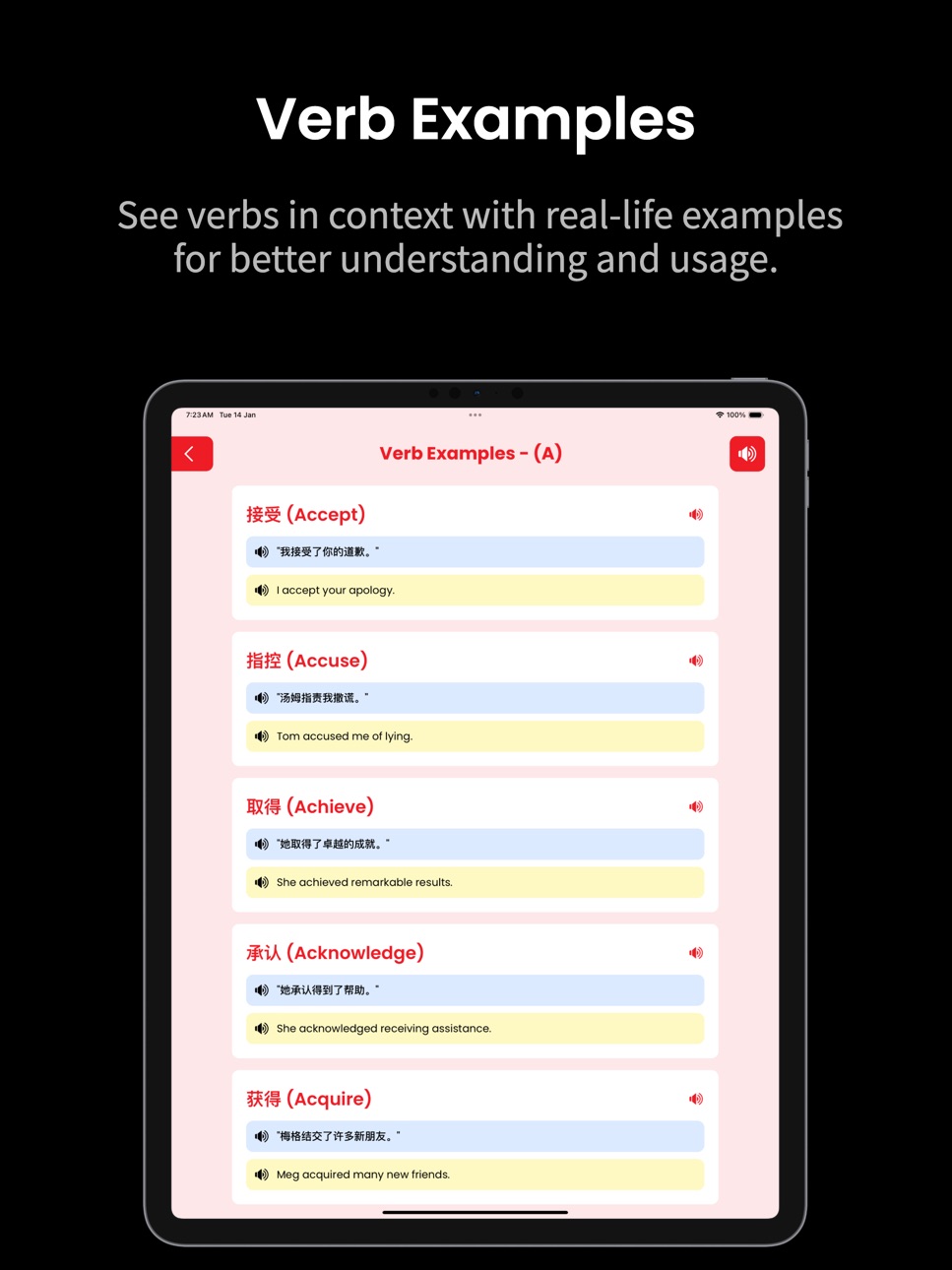 iPad screenshot