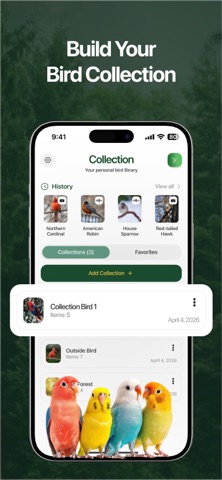 Lyrebird: Bird Identifier screenshot