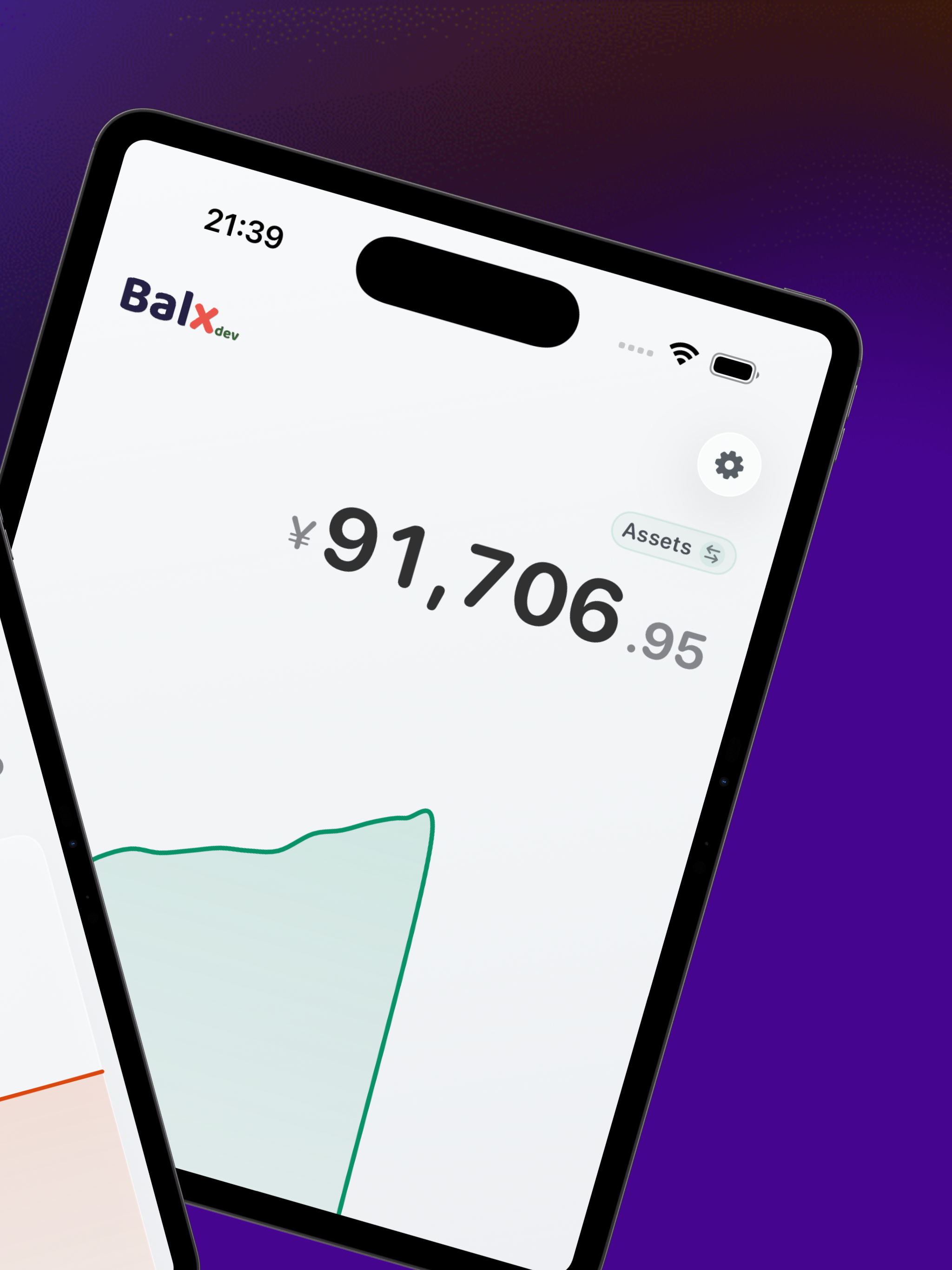 Balx - Assets & Liabilities screenshot 12