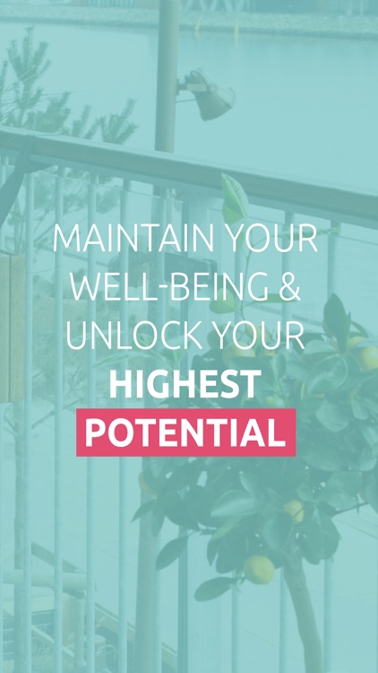 Sterkla screenshot-7