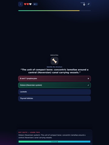 Anatomy Arena iPad screenshot
