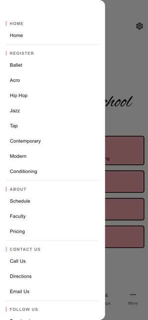 Norman School of Ballet screenshot 3