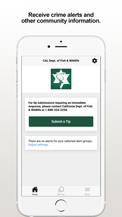 CalTIP Screenshot