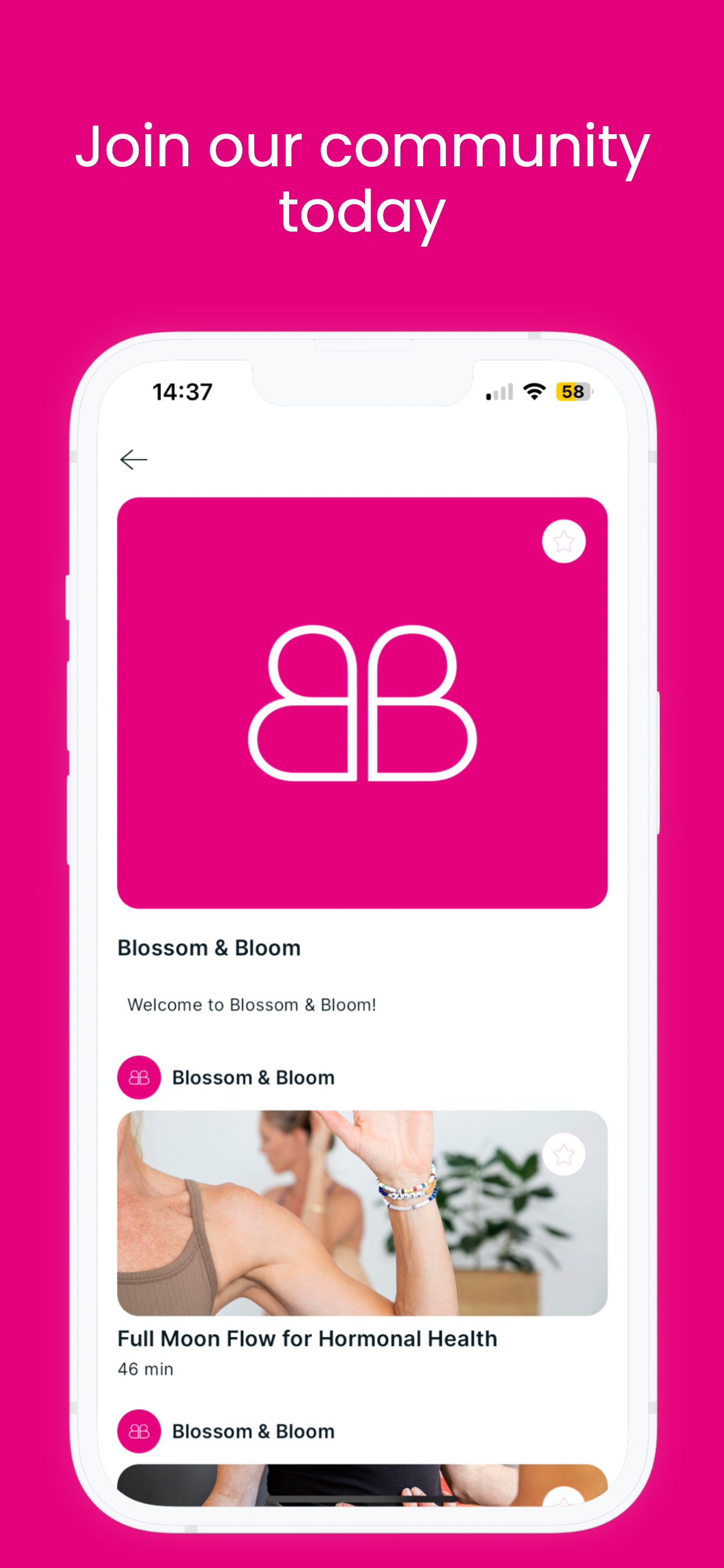 Blossom & Bloom