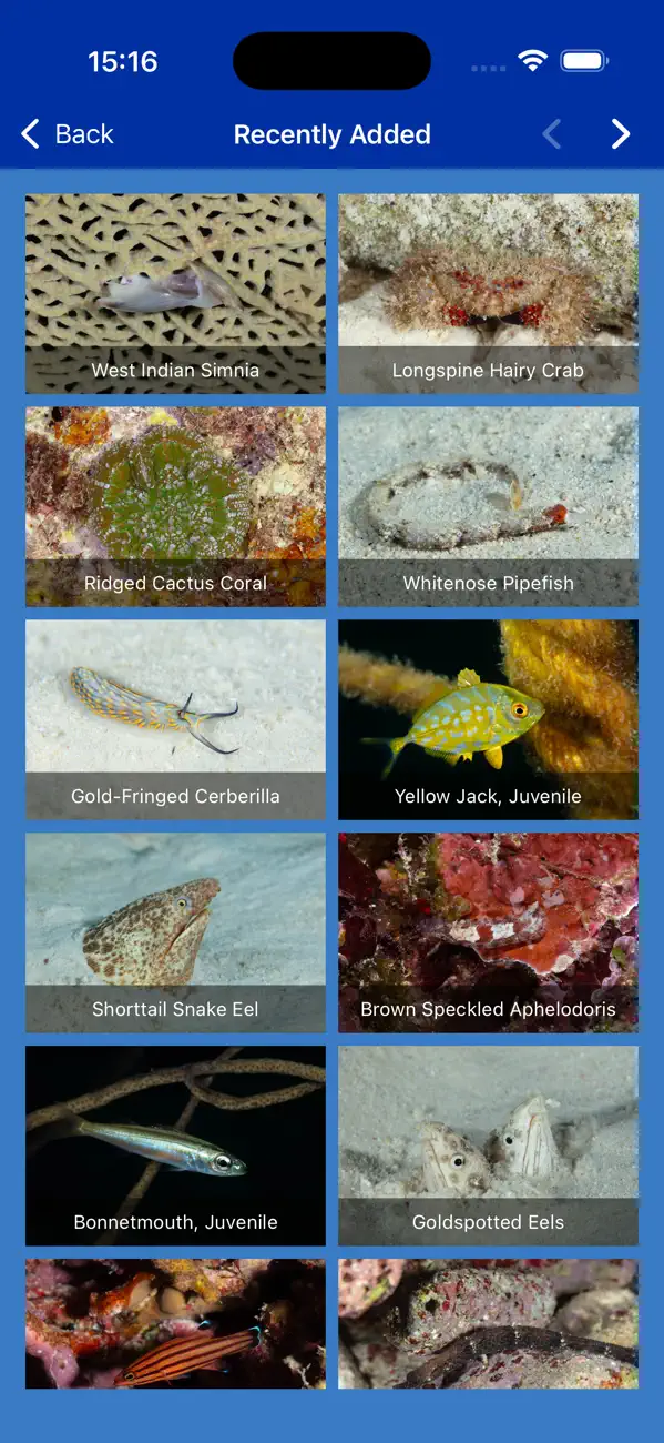 Screenshot #2 pour Bonaire Fish ID