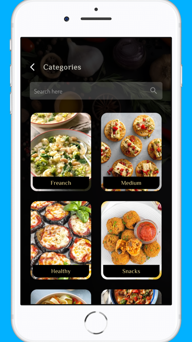 Testy French Recipes Screenshot