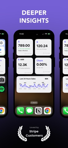 Widgets for Stripe - Insights Screenshot 1 of 7