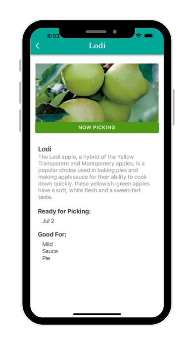 Stuckey Farm Market Screenshot