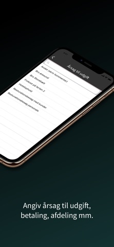 Boligflow Finans screenshot