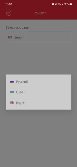 Londry (Uzbekistan) screenshot 3
