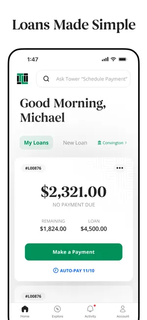 Tower Loan screenshot 1