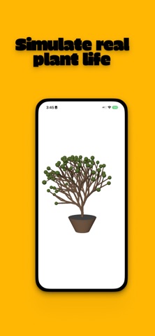 My Pocket Plant Screenshot 3 of 5