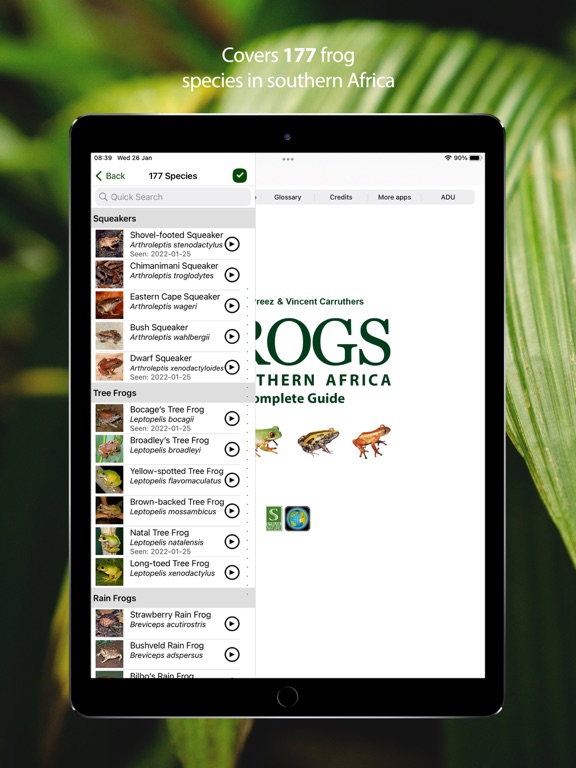 Screenshot #5 pour Frogs of Southern Africa