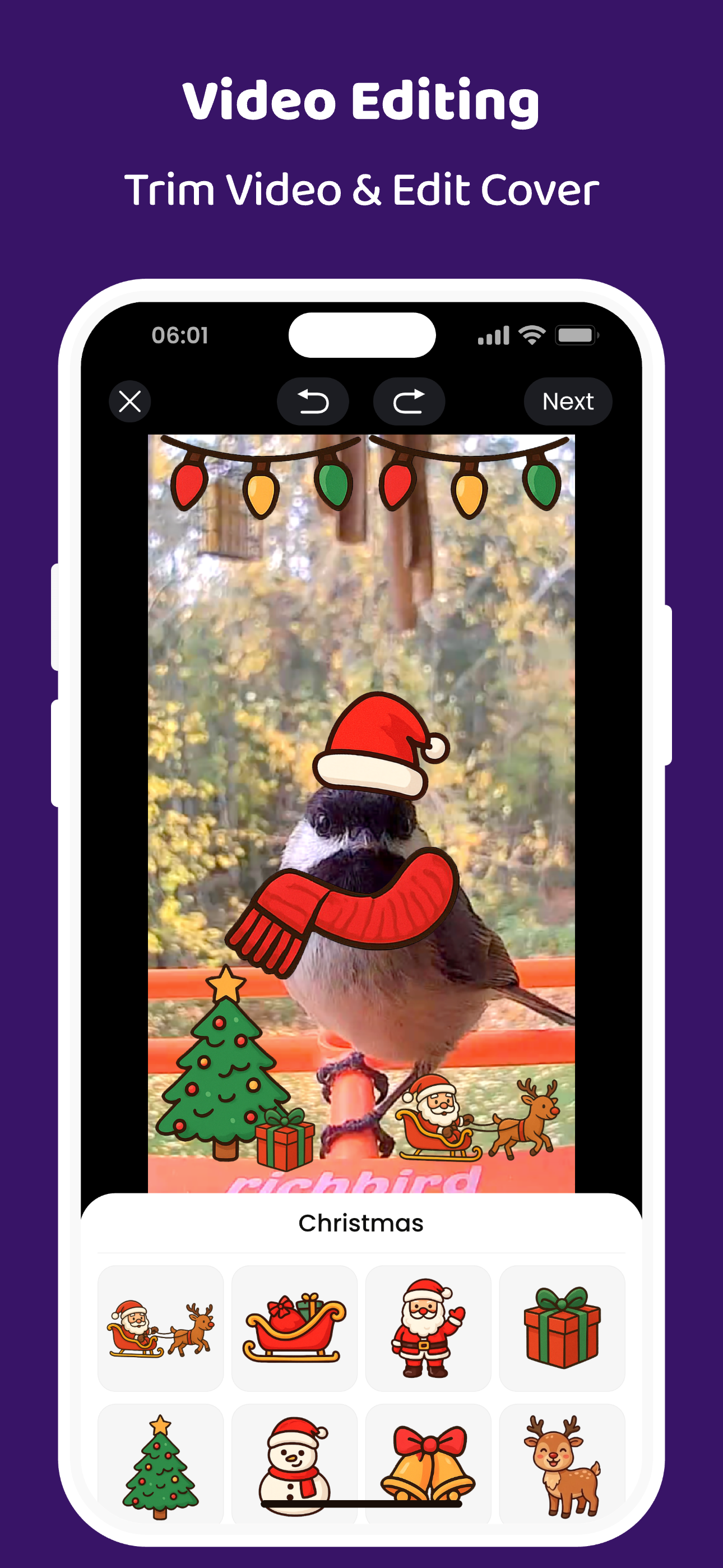 COOLFLY: More Than Birding