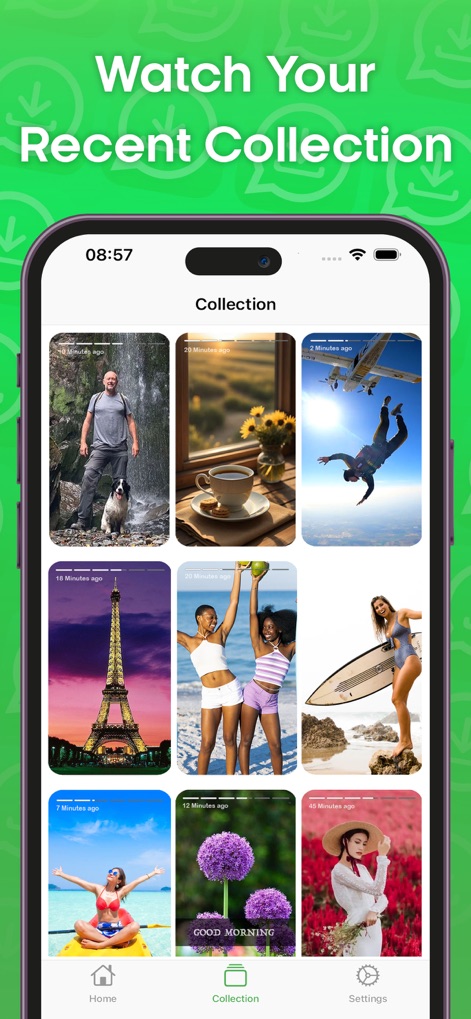 Status Saver and Save Story - Explore the 'Collection' tab where all saved media is neatly organized in a clear grid display, allowing users to revisit their favorite statuses anytime.