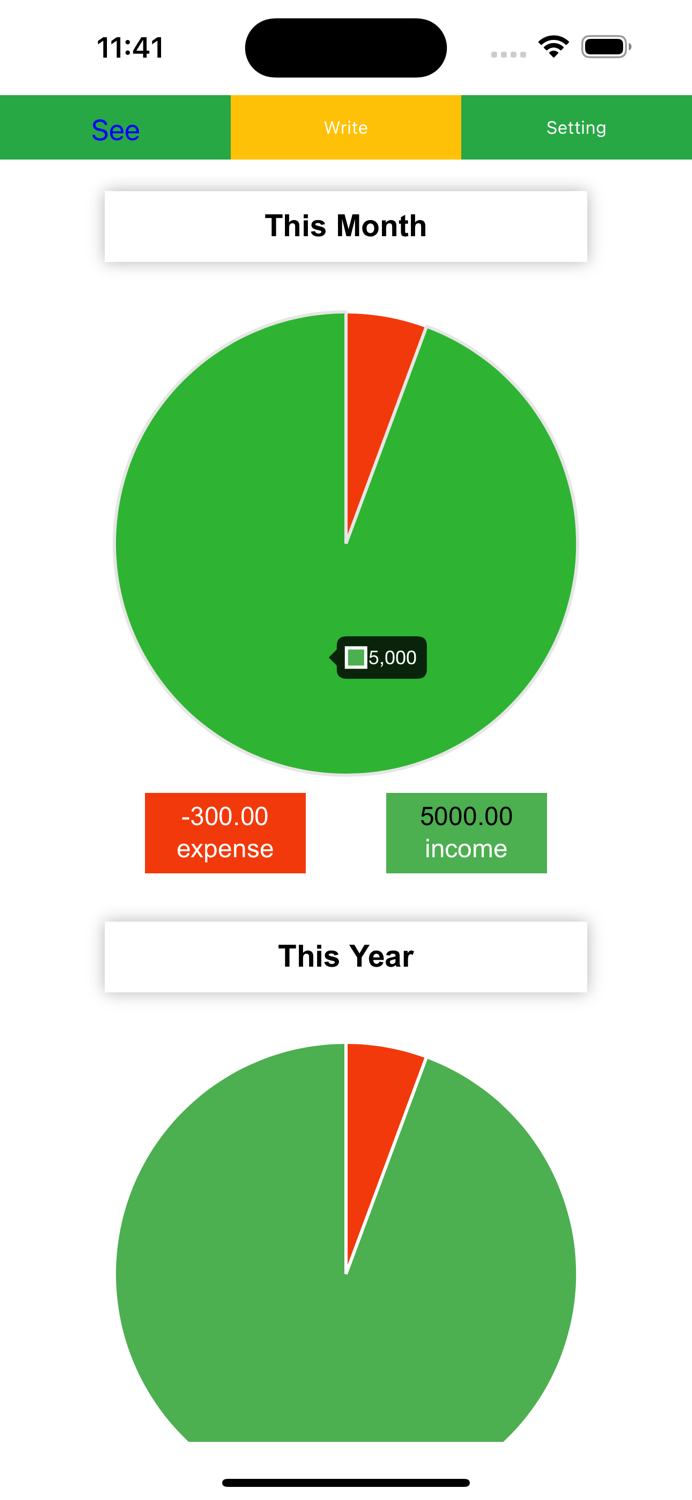 Cash Flow Record