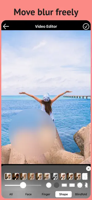 Blur Video & Mosaic screenshot 3