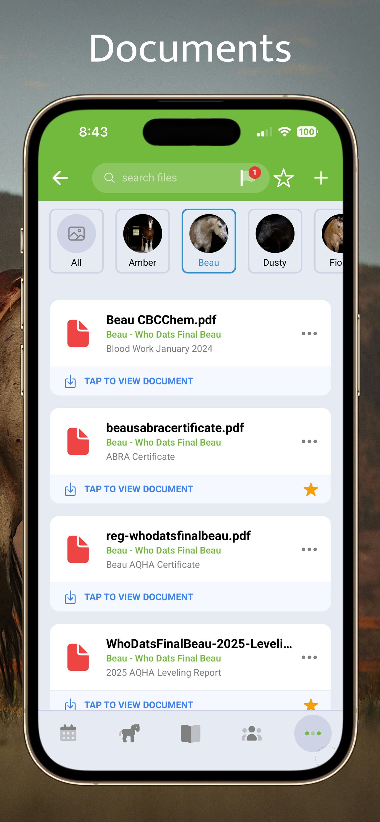Equestrian App