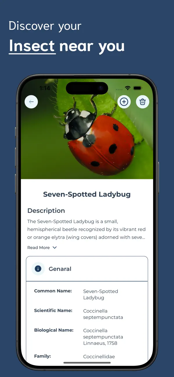 #3. Insect Identifier - II (iOS) Ved: Ankur Dhameliya