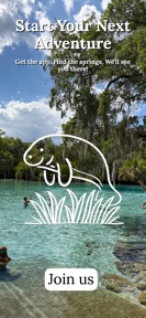 Florida Springs screenshot